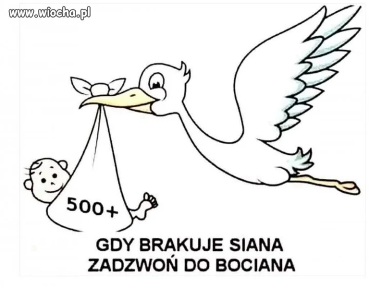 Gdy brakuje siana...