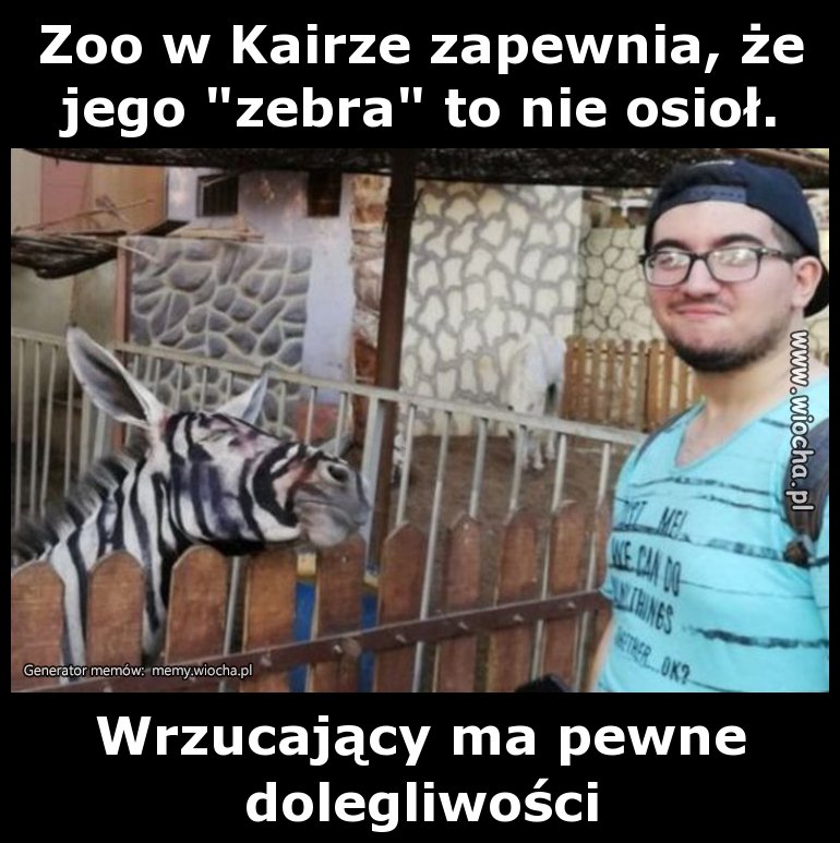 Zoo w Kairze zapewnia, że jego "zebra"