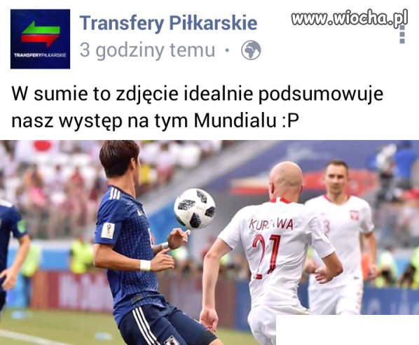 Zdjęcie podsumowujące