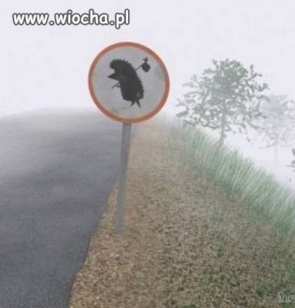 Tak ...