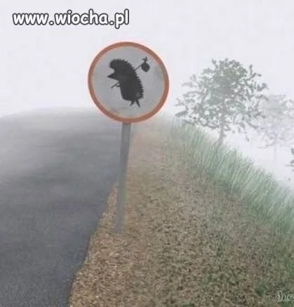 Tak ...