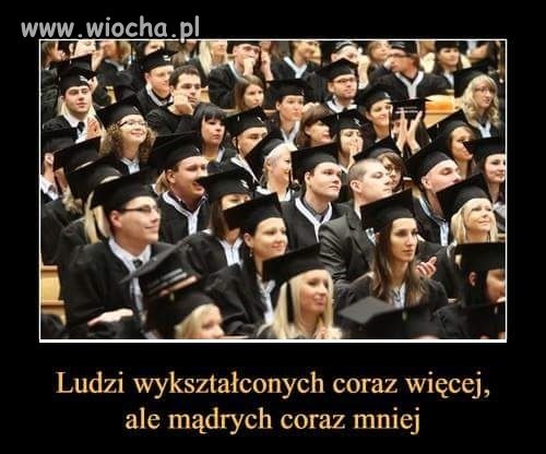 Tzw. debil z papierami