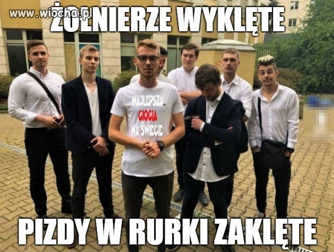 Z cyklu perły prawactwa 