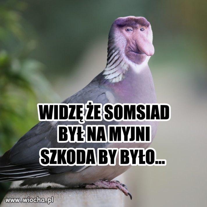 Somsiad po myjni...