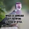 Somsiad po myjni...