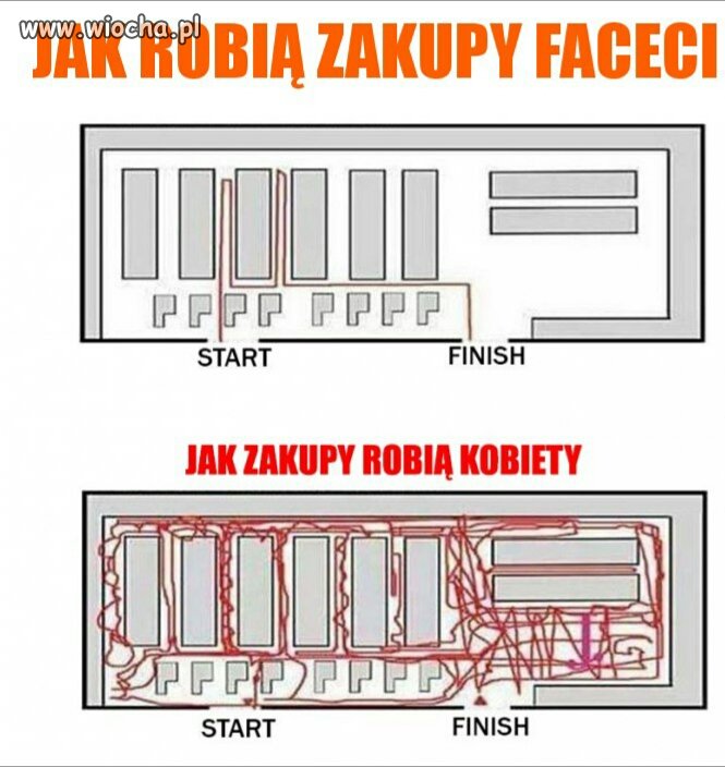 Porównanie płci
