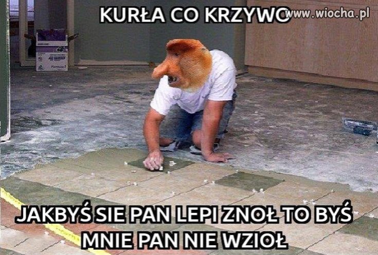 Fachowiec