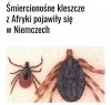 Efekty uboczne polityki multikulti 