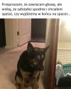 Skoro jest twoim przyjacielem weź go na spacer