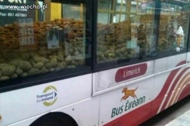 Tak wg kierowcy wygląda autobus pełen pasażerów