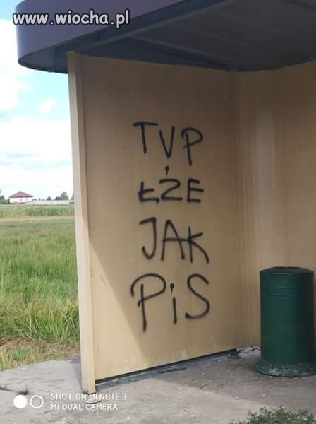 TVP...
