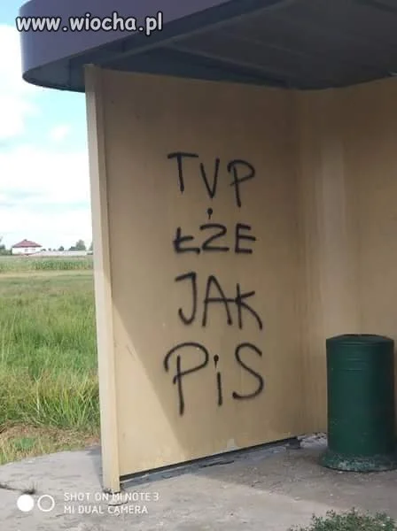 TVP...