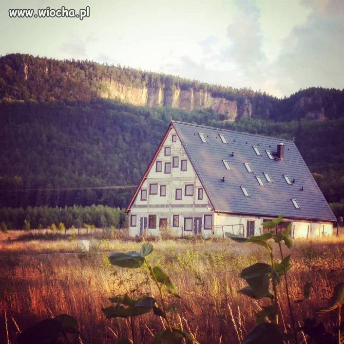 Szalony Architekt