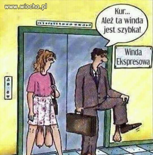 Winda