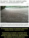 Sprawiedliwość