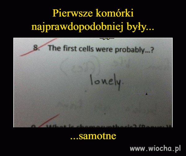 Coś w tym jest