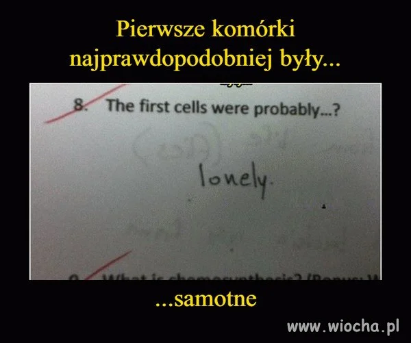 Coś w tym jest