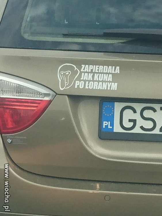 Jak Kuna... 