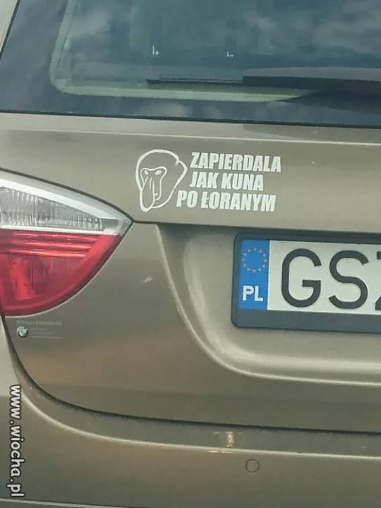 Jak Kuna... 