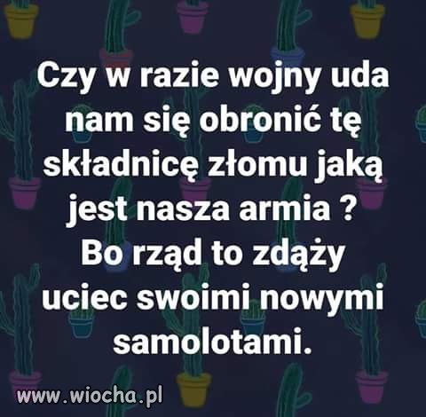 O siebie zadbali.