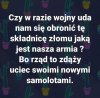 O siebie zadbali.