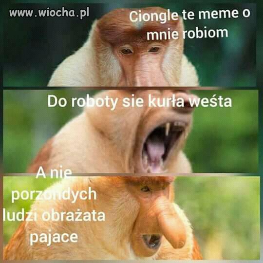 Janusz N.