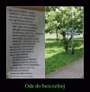 Bo to zła kobieta była