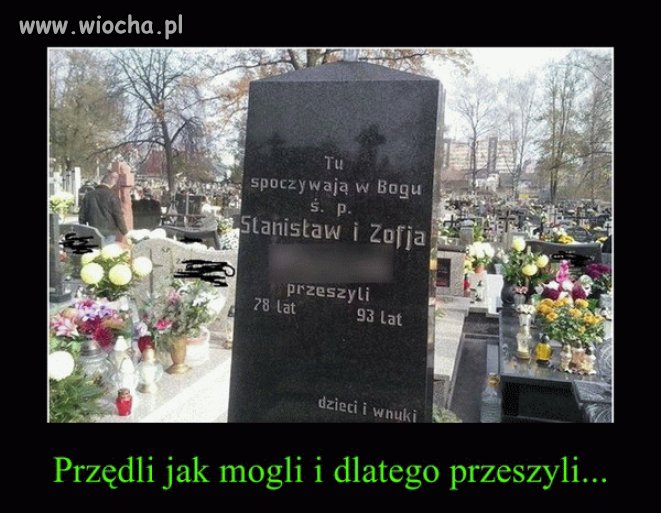 Może to krawiec i krawcowa?