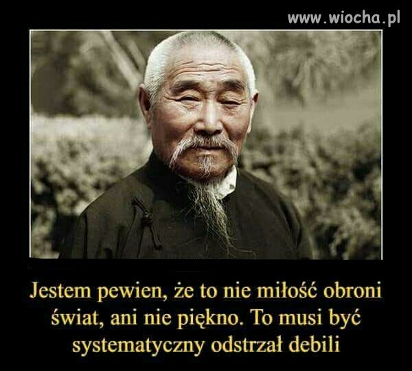 I wszystko 
