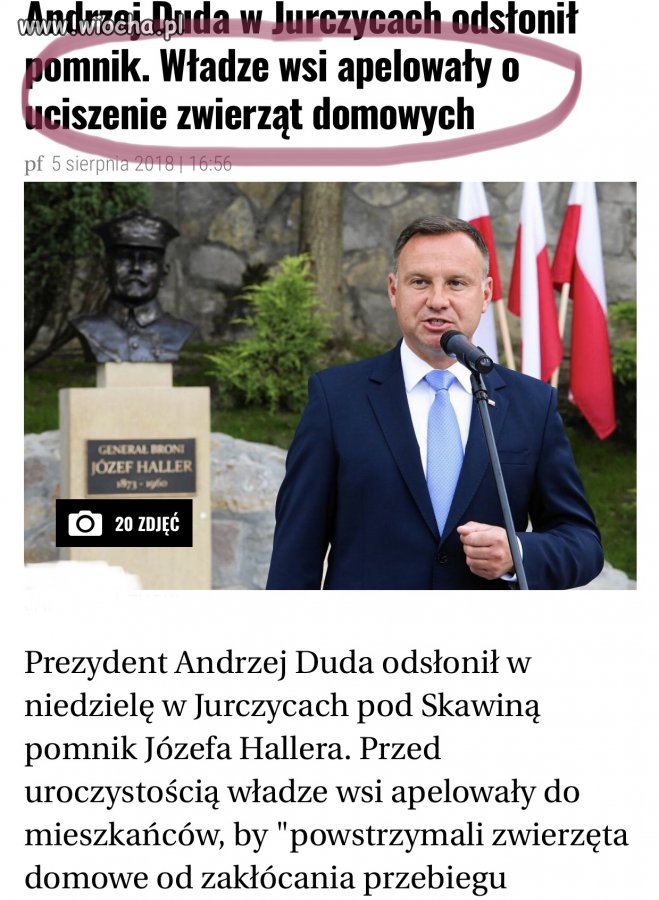 Czy konie mnie słyszą?