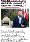 Czy konie mnie słyszą?