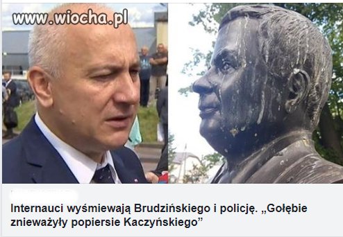 Gołębie jak by nie było wiedzą