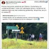 Mały bukowiec i wazelinka.