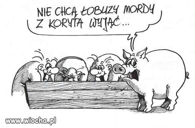 PiS na Pomorzu