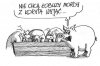 PiS na Pomorzu
