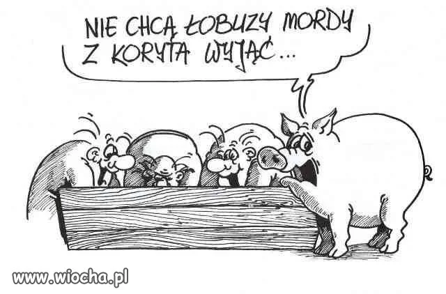 PiS na Pomorzu