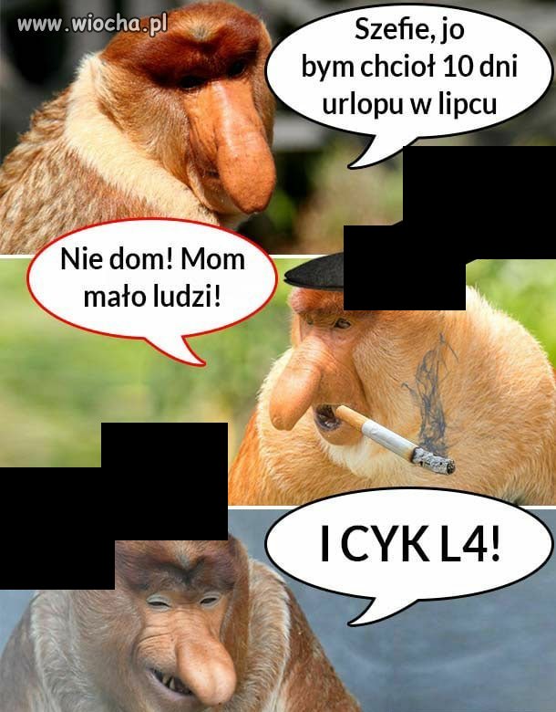 Szefie chcę urlop...