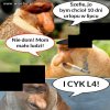Szefie chcę urlop...
