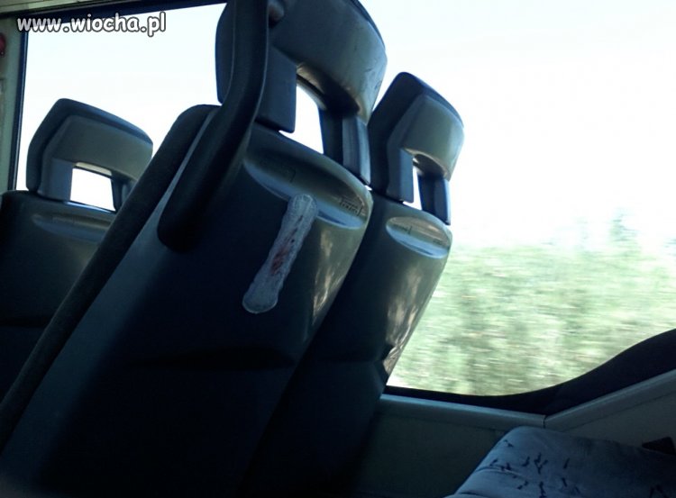 Autobusem na plażę...