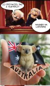 Co przywiózł PAD z Australii?
