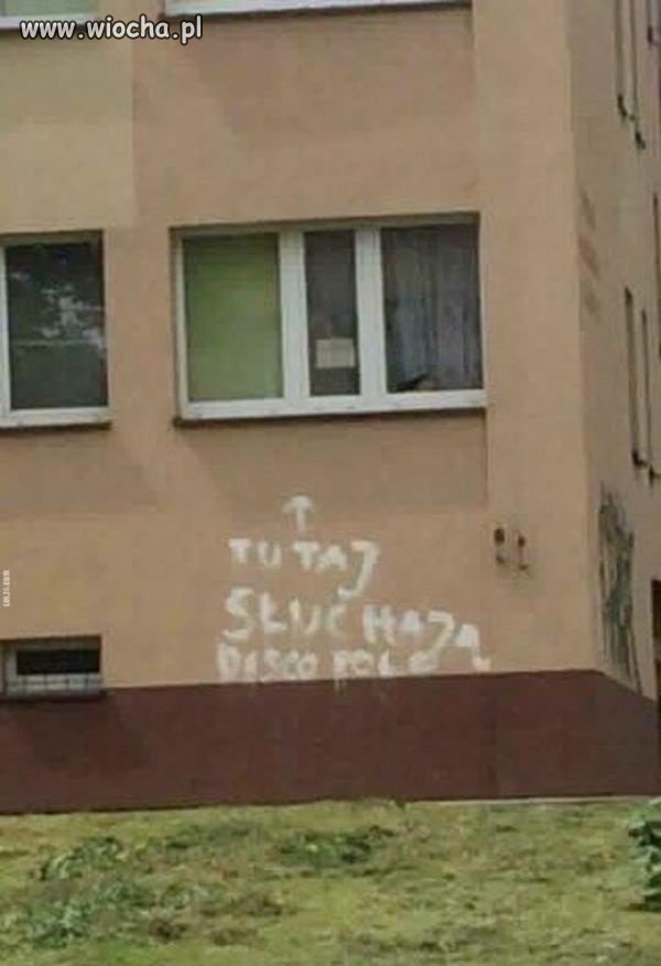 Sygnalista