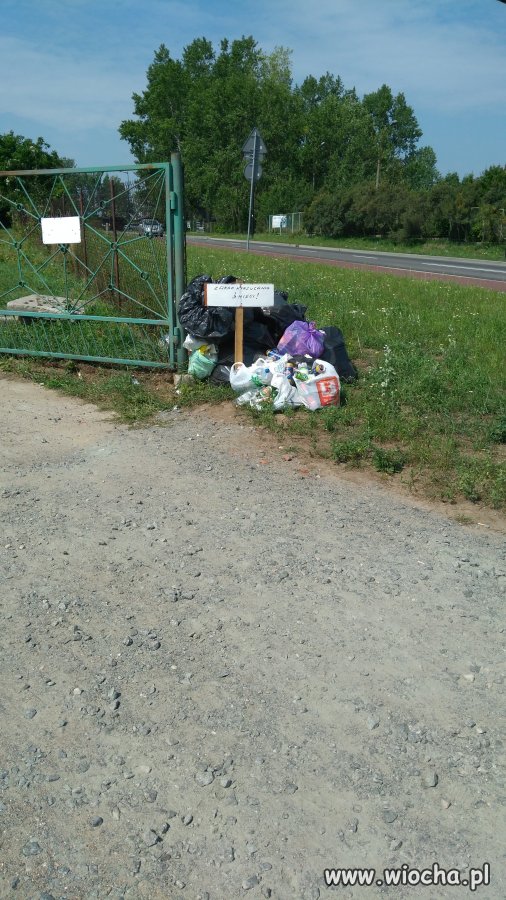 Oto my, właśnie