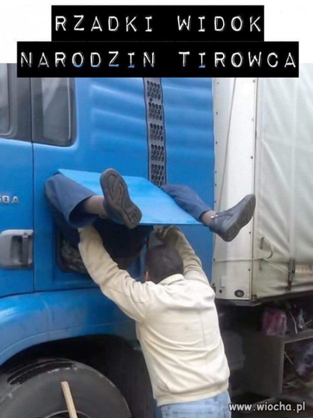 Narodziny 