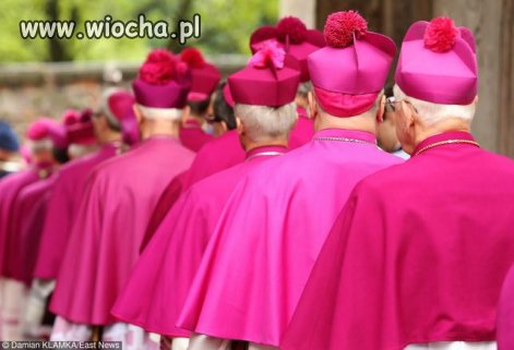 Ci panowie biorą całą kasę. Chudego tam nie widać
