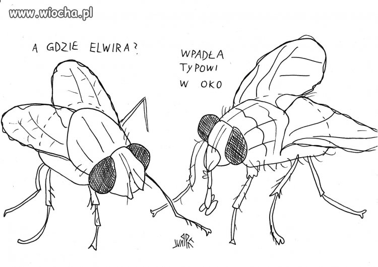 Pogaduszki 