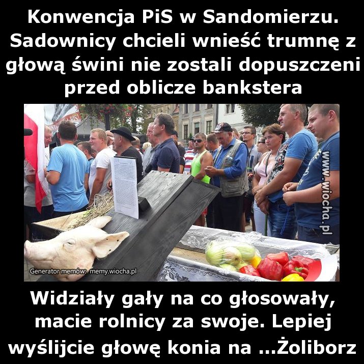 Konwencja PiS w Sandomierzu.
