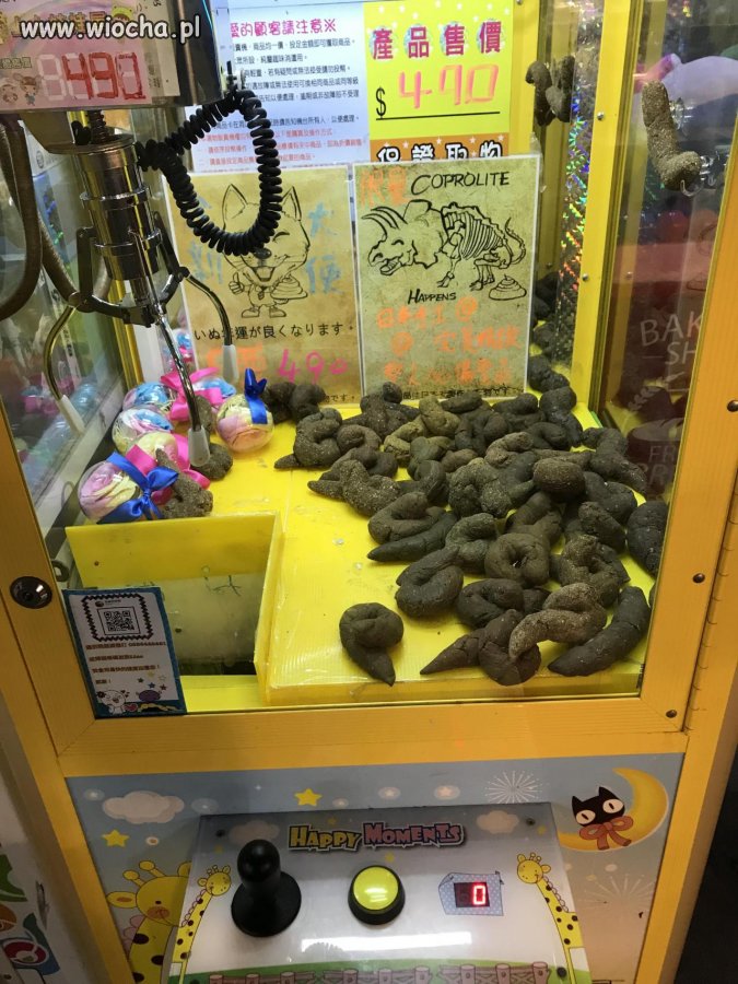 Wygraj kupę dinozaura 