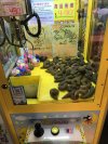 Wygraj kupę dinozaura 