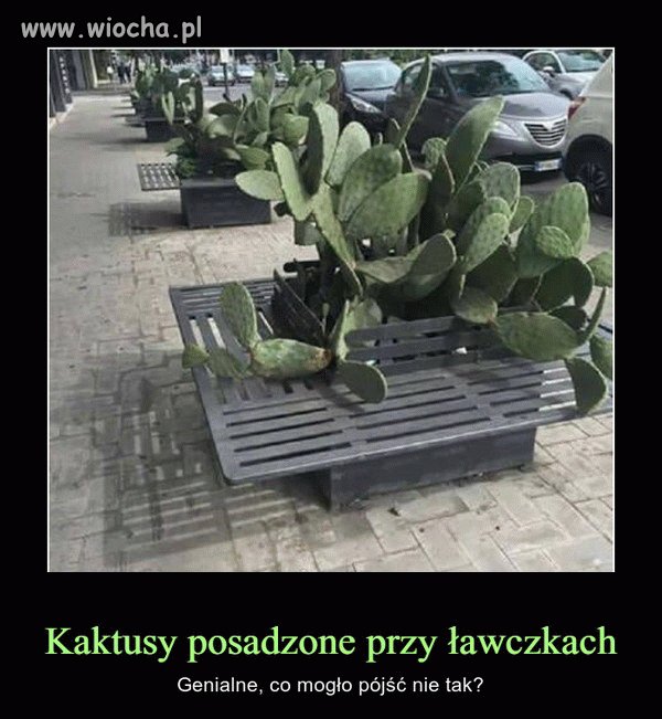 Z cyklu: Poronione pomysły