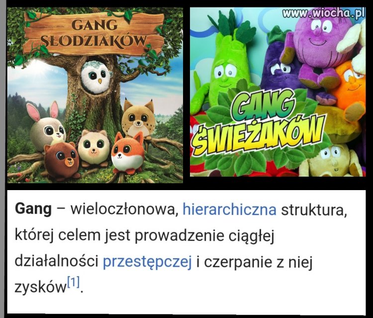 Bo gangi sa dobre